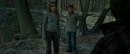RdM1-Potterish10556.jpg
