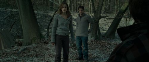 RdM1-Potterish10557.jpg