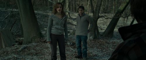 RdM1-Potterish10558.jpg