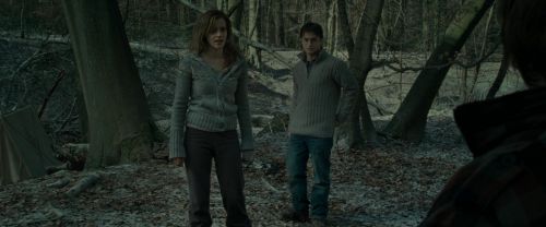Click to view full size image
==============
RdM1-Potterish10559.jpg RdM1-Potterish10559.jpg