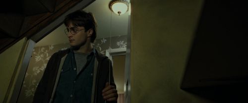 RdM1-Potterish1056.jpg