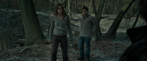 RdM1-Potterish10560.jpg