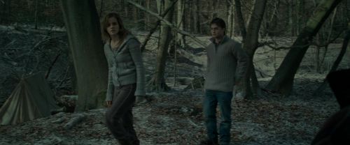 RdM1-Potterish10561.jpg