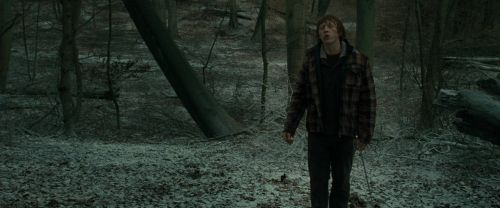 Click to view full size image
==============
RdM1-Potterish10562.jpg RdM1-Potterish10562.jpg