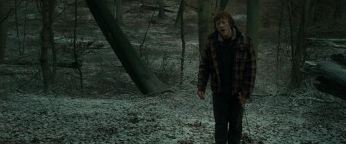 Click to view full size image
==============
RdM1-Potterish10564.jpg RdM1-Potterish10564.jpg