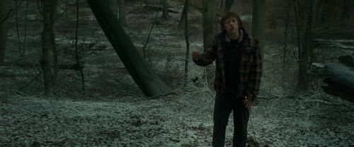 RdM1-Potterish10565.jpg