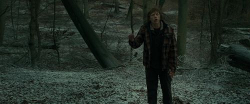 Click to view full size image
==============
RdM1-Potterish10566.jpg RdM1-Potterish10566.jpg
