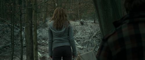 RdM1-Potterish10567.jpg