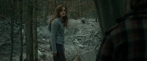 RdM1-Potterish10569.jpg