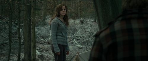 RdM1-Potterish10570.jpg