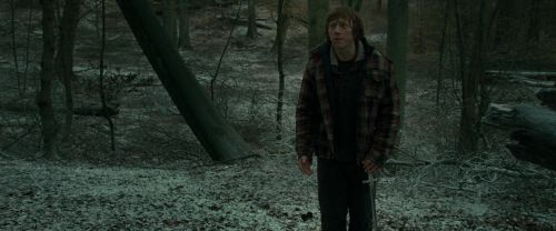 RdM1-Potterish10573.jpg