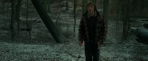 Click to view full size image
==============
RdM1-Potterish10574.jpg RdM1-Potterish10574.jpg