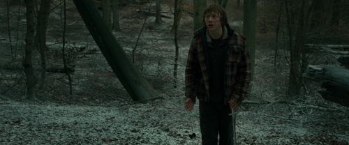 RdM1-Potterish10575.jpg