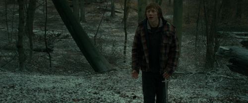 RdM1-Potterish10576.jpg