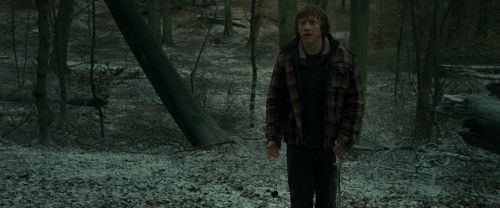 RdM1-Potterish10577.jpg