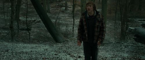 RdM1-Potterish10578.jpg