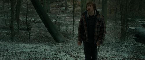 RdM1-Potterish10579.jpg