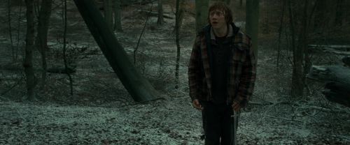 Click to view full size image
==============
RdM1-Potterish10580.jpg RdM1-Potterish10580.jpg