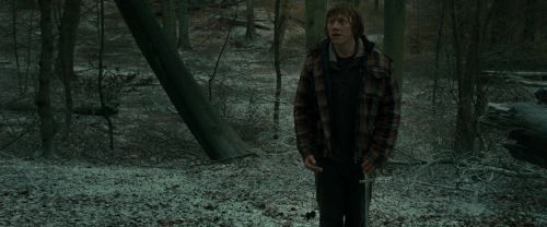 Click to view full size image
==============
RdM1-Potterish10581.jpg RdM1-Potterish10581.jpg