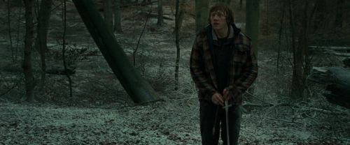 Click to view full size image
==============
RdM1-Potterish10583.jpg RdM1-Potterish10583.jpg