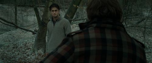 Click to view full size image
==============
RdM1-Potterish10585.jpg RdM1-Potterish10585.jpg