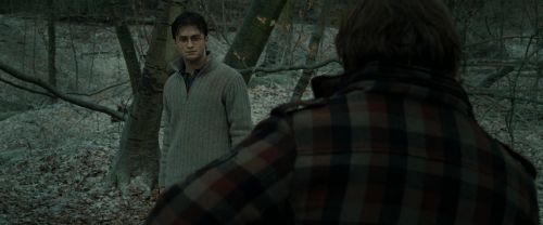 RdM1-Potterish10586.jpg