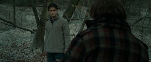 RdM1-Potterish10587.jpg