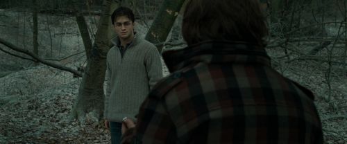 RdM1-Potterish10588.jpg
