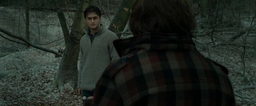 RdM1-Potterish10590.jpg