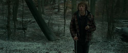 RdM1-Potterish10594.jpg