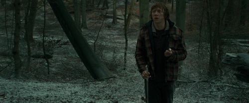 Click to view full size image
==============
RdM1-Potterish10596.jpg RdM1-Potterish10596.jpg