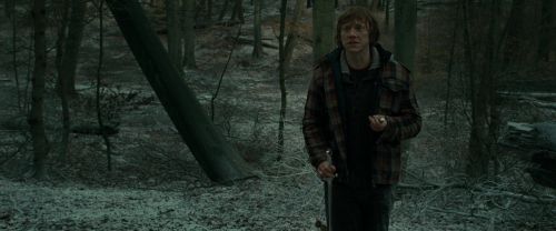 RdM1-Potterish10599.jpg
