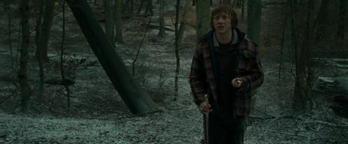 RdM1-Potterish10600.jpg