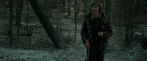 Click to view full size image
==============
RdM1-Potterish10601.jpg RdM1-Potterish10601.jpg