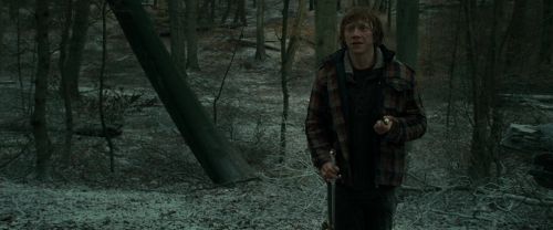 RdM1-Potterish10602.jpg