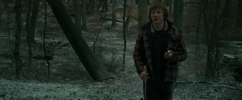 Click to view full size image
==============
RdM1-Potterish10603.jpg RdM1-Potterish10603.jpg