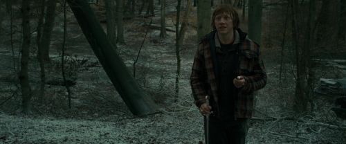 Click to view full size image
==============
RdM1-Potterish10604.jpg RdM1-Potterish10604.jpg