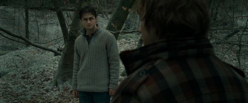 RdM1-Potterish10605.jpg