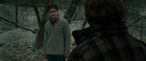 RdM1-Potterish10606.jpg