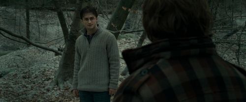 RdM1-Potterish10607.jpg