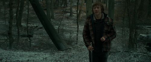 RdM1-Potterish10608.jpg