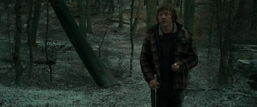 RdM1-Potterish10609.jpg