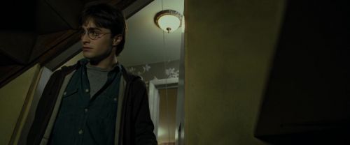 RdM1-Potterish1061.jpg