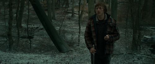 RdM1-Potterish10610.jpg