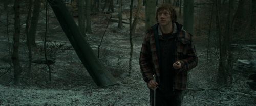 RdM1-Potterish10611.jpg