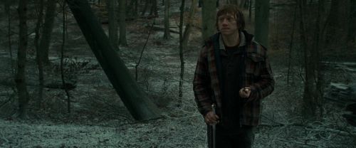 Click to view full size image
==============
RdM1-Potterish10612.jpg RdM1-Potterish10612.jpg