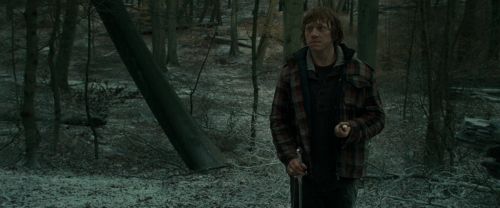 Click to view full size image
==============
RdM1-Potterish10613.jpg RdM1-Potterish10613.jpg