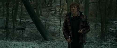 RdM1-Potterish10617.jpg