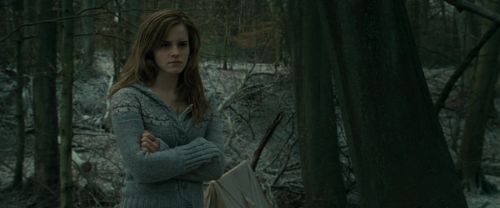 RdM1-Potterish10619.jpg