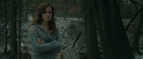RdM1-Potterish10620.jpg